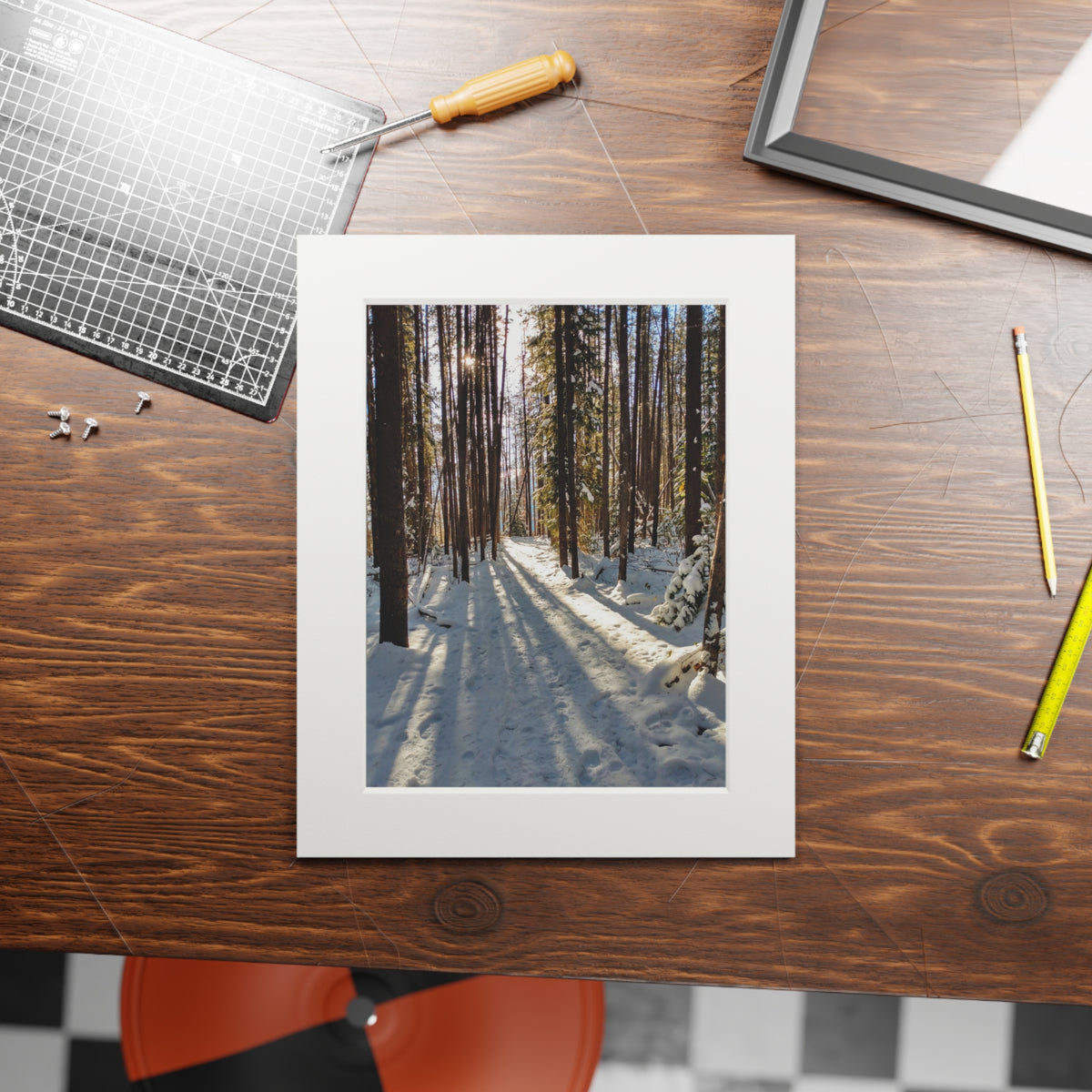 Sun Drenched Winter Forest Scene Fine Art Print with Passepartout Frame