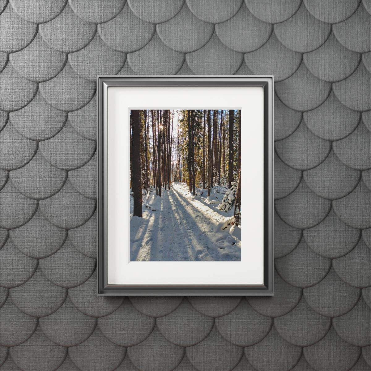 Sun Drenched Winter Forest Scene        Fine Art Print with Passepartout Frame