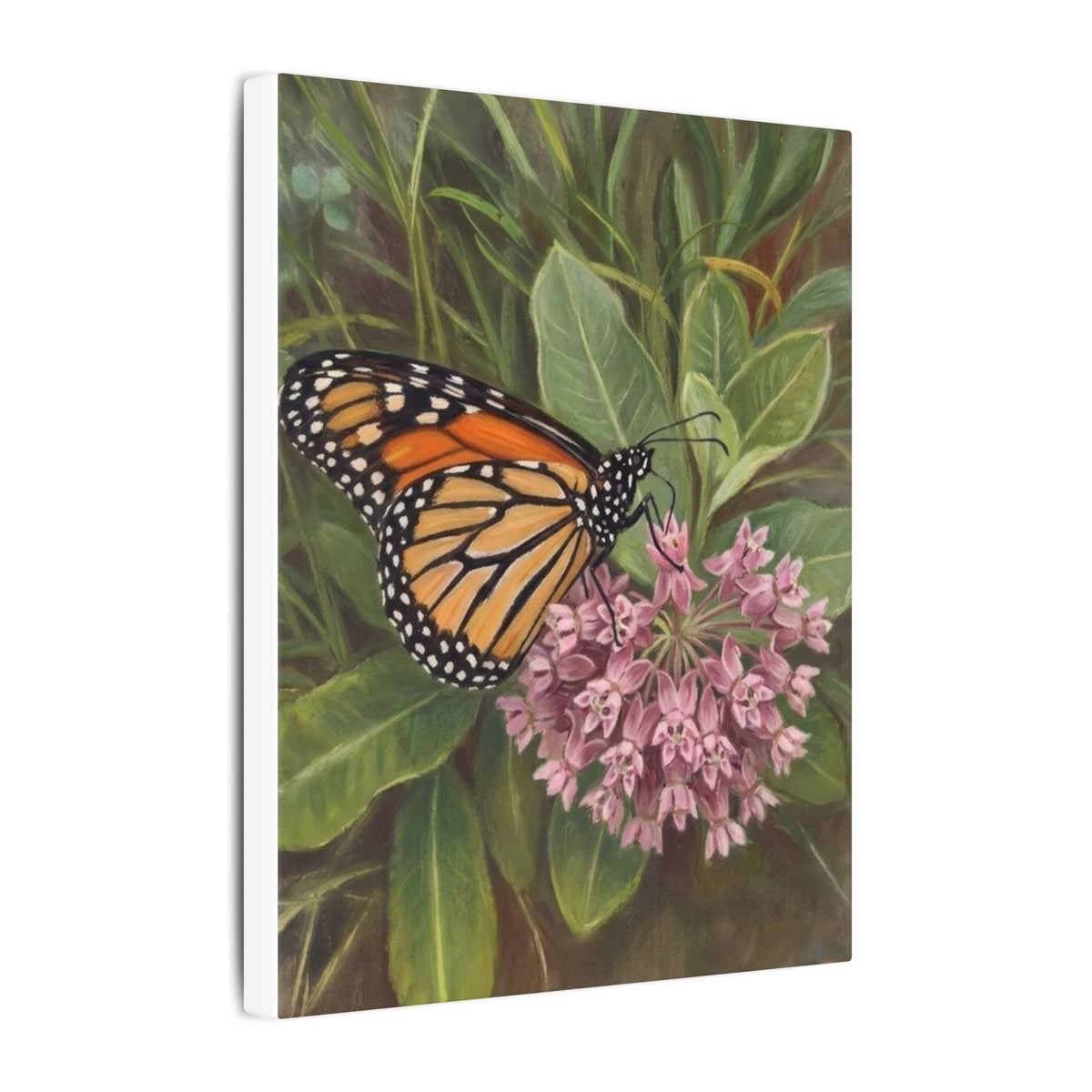 Monarch Butterfly on Pink Milkweed — Matte Stretched Canvas Wall Art
