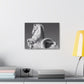 Stone Horse Sculpture Canvas Wall Art — Black & White Architectural Photography, 1.5" Stretched Canvas