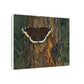 Tree Bark & Morning Cloak Butterfly Matte Canvas Wall Art – Nature-Inspired Stretched Canvas