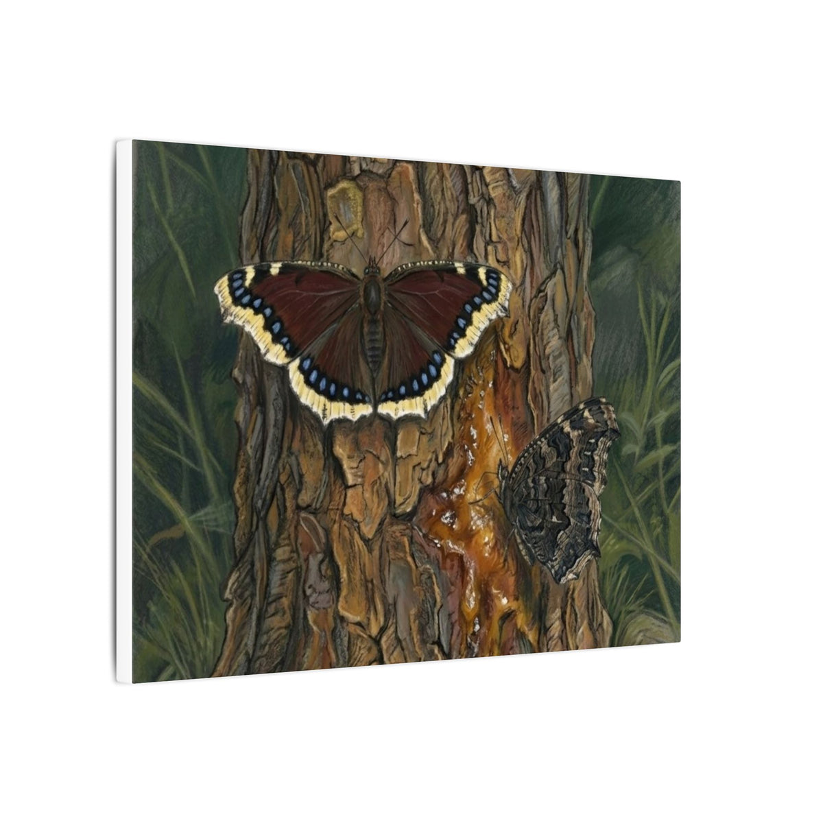 Tree Bark & Morning Cloak Butterfly Matte Canvas Wall Art – Nature-Inspired Stretched Canvas
