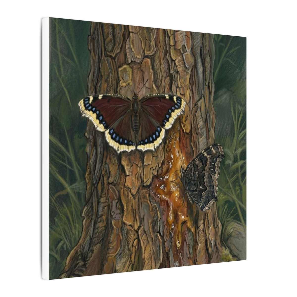Tree Bark & Morning Cloak Butterfly Matte Canvas Wall Art – Nature-Inspired Stretched Canvas