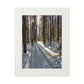 Sun Drenched Winter Forest Scene        Fine Art Print with Passepartout Frame
