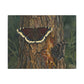 Tree Bark & Morning Cloak Butterfly Matte Canvas Wall Art – Nature-Inspired Stretched Canvas