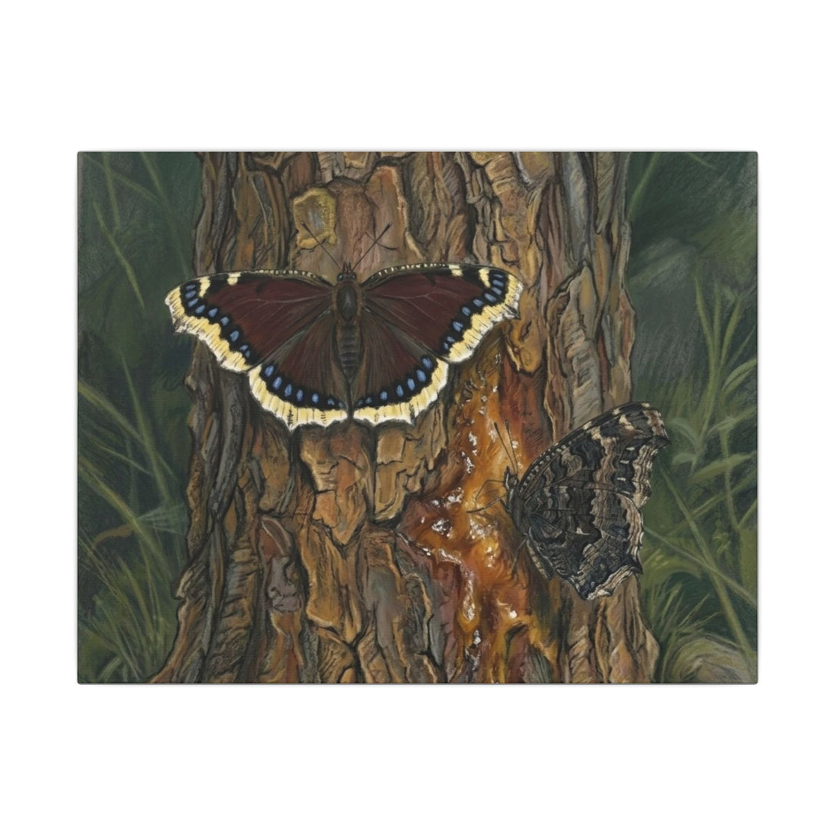 Tree Bark & Morning Cloak Butterfly Matte Canvas Wall Art – Nature-Inspired Stretched Canvas