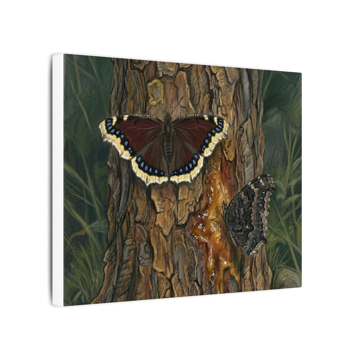Tree Bark & Morning Cloak Butterfly Matte Canvas Wall Art – Nature-Inspired Stretched Canvas