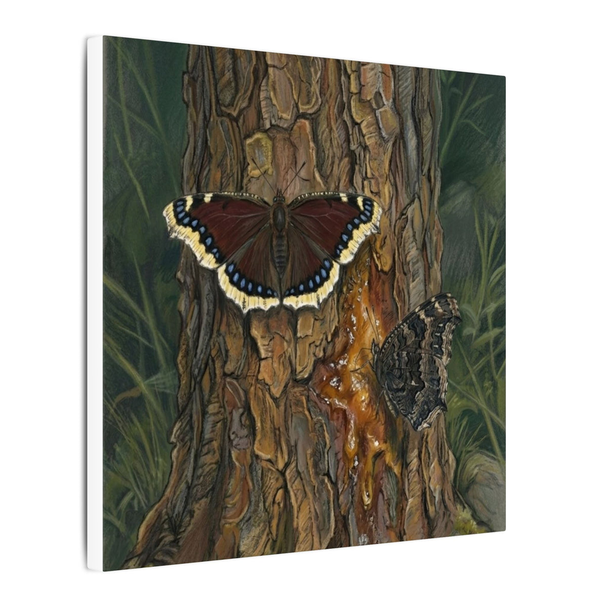 Tree Bark & Morning Cloak Butterfly Matte Canvas Wall Art – Nature-Inspired Stretched Canvas