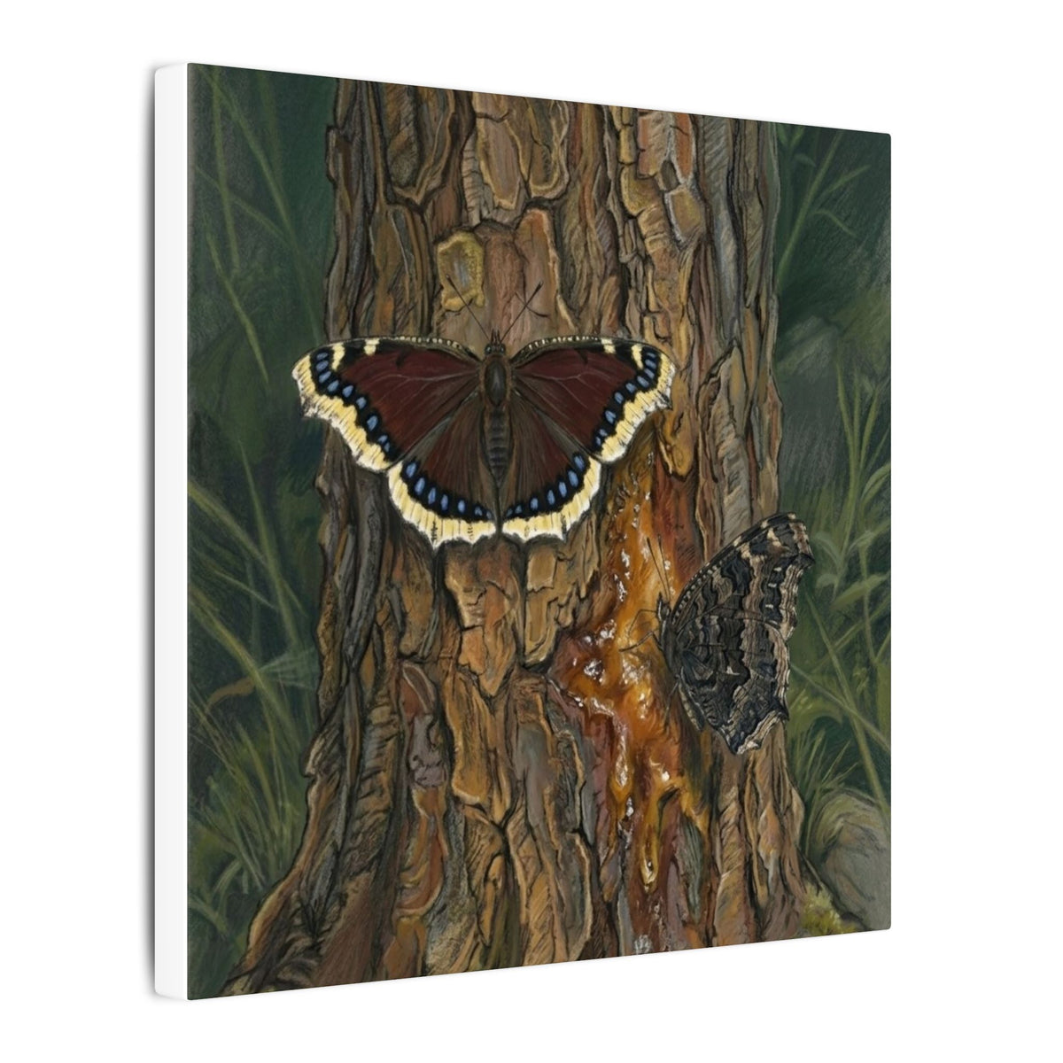 Tree Bark & Morning Cloak Butterfly Matte Canvas Wall Art – Nature-Inspired Stretched Canvas