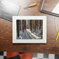 Sun Drenched Winter Forest Scene        Fine Art Print with Passepartout Frame