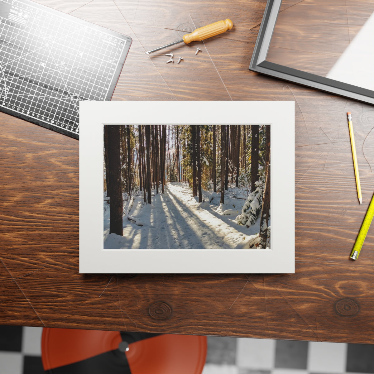 Sun Drenched Winter Forest Scene        Fine Art Print with Passepartout Frame