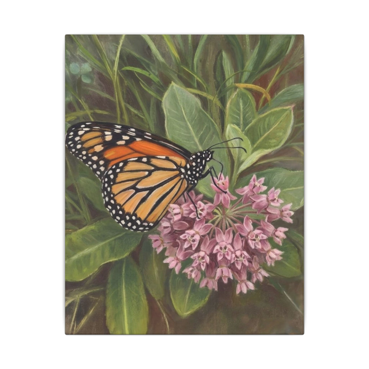 Monarch Butterfly on Pink Milkweed — Matte Stretched Canvas Wall Art