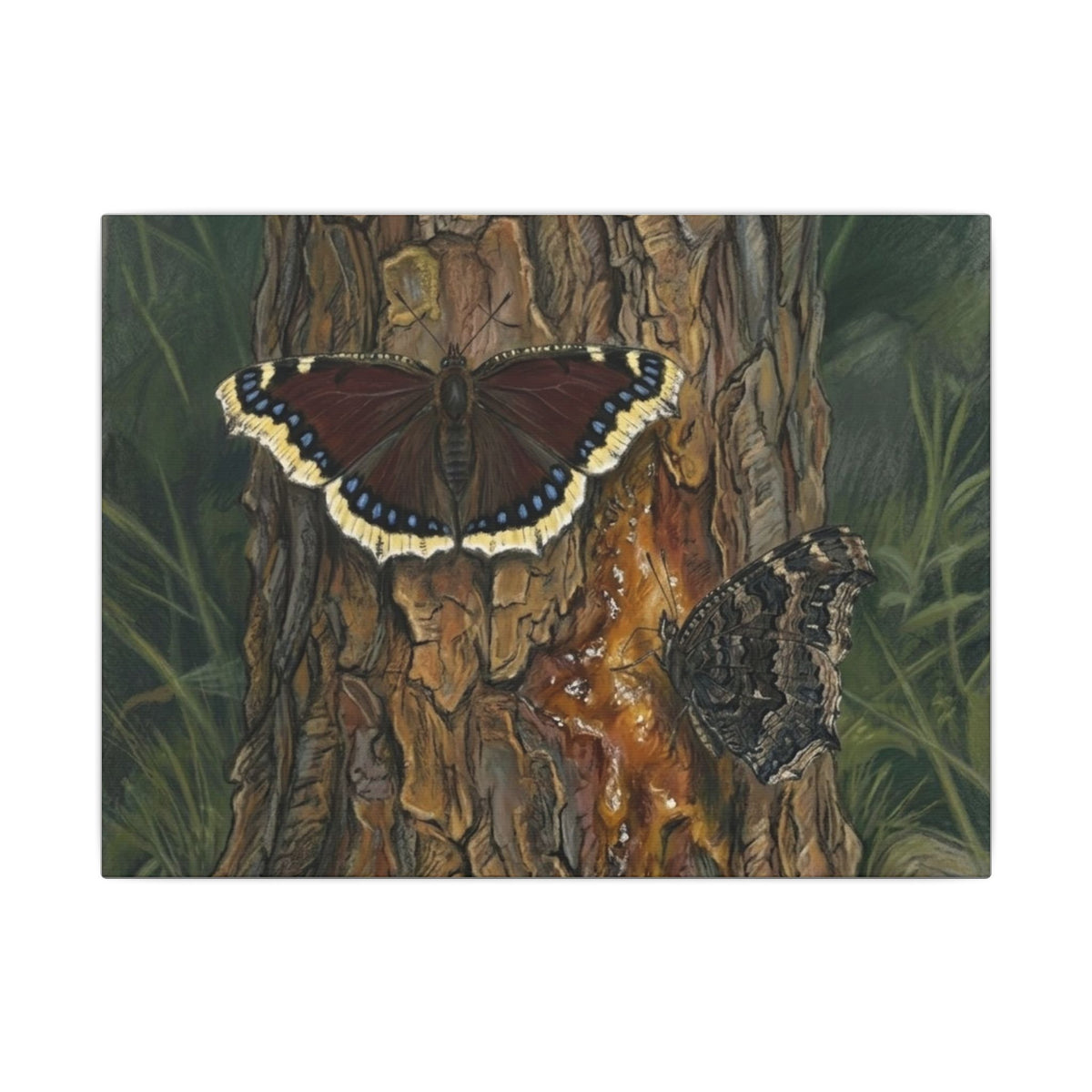 Tree Bark & Morning Cloak Butterfly Matte Canvas Wall Art – Nature-Inspired Stretched Canvas