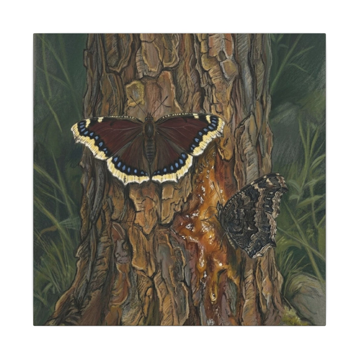 Tree Bark & Morning Cloak Butterfly Matte Canvas Wall Art – Nature-Inspired Stretched Canvas