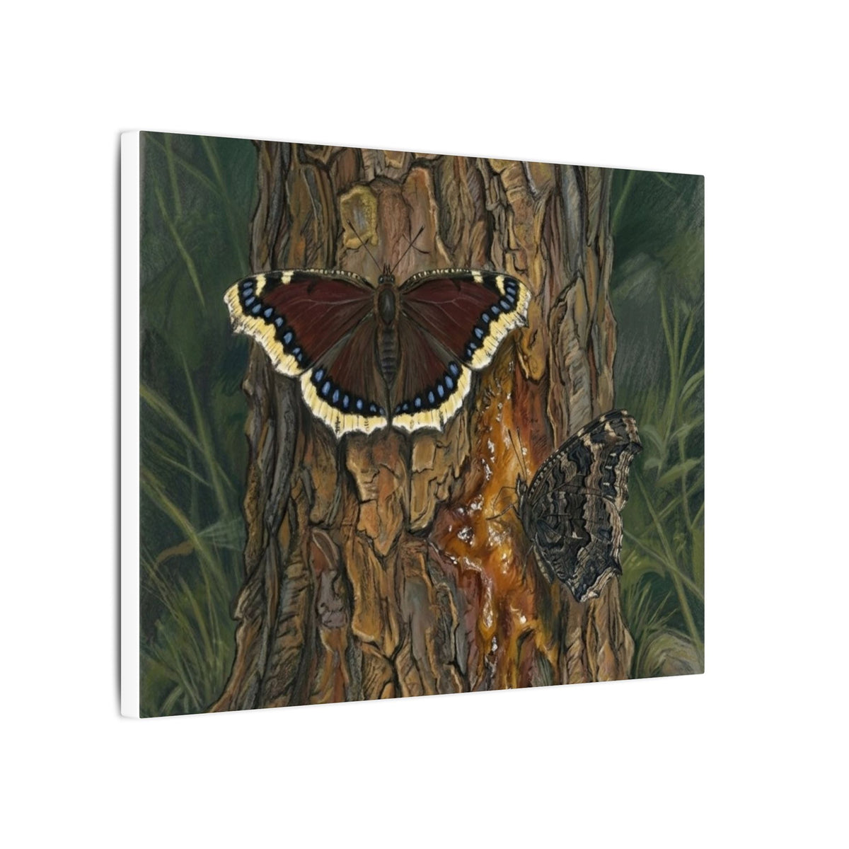 Tree Bark & Morning Cloak Butterfly Matte Canvas Wall Art – Nature-Inspired Stretched Canvas
