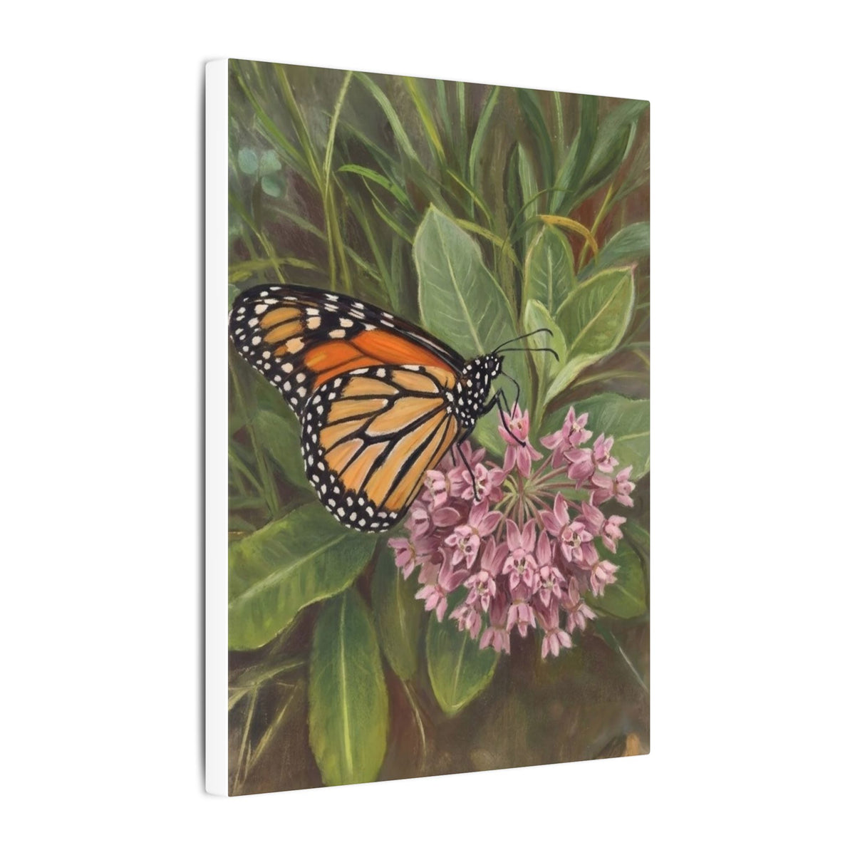 Monarch Butterfly on Pink Milkweed — Matte Stretched Canvas Wall Art