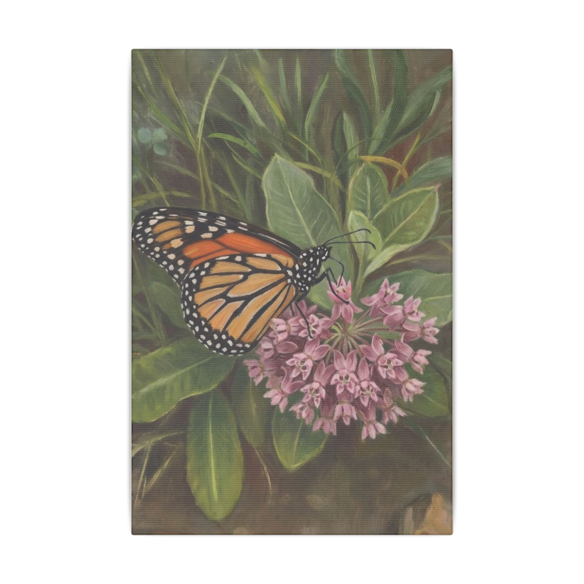 Monarch Butterfly on Pink Milkweed — Matte Stretched Canvas Wall Art
