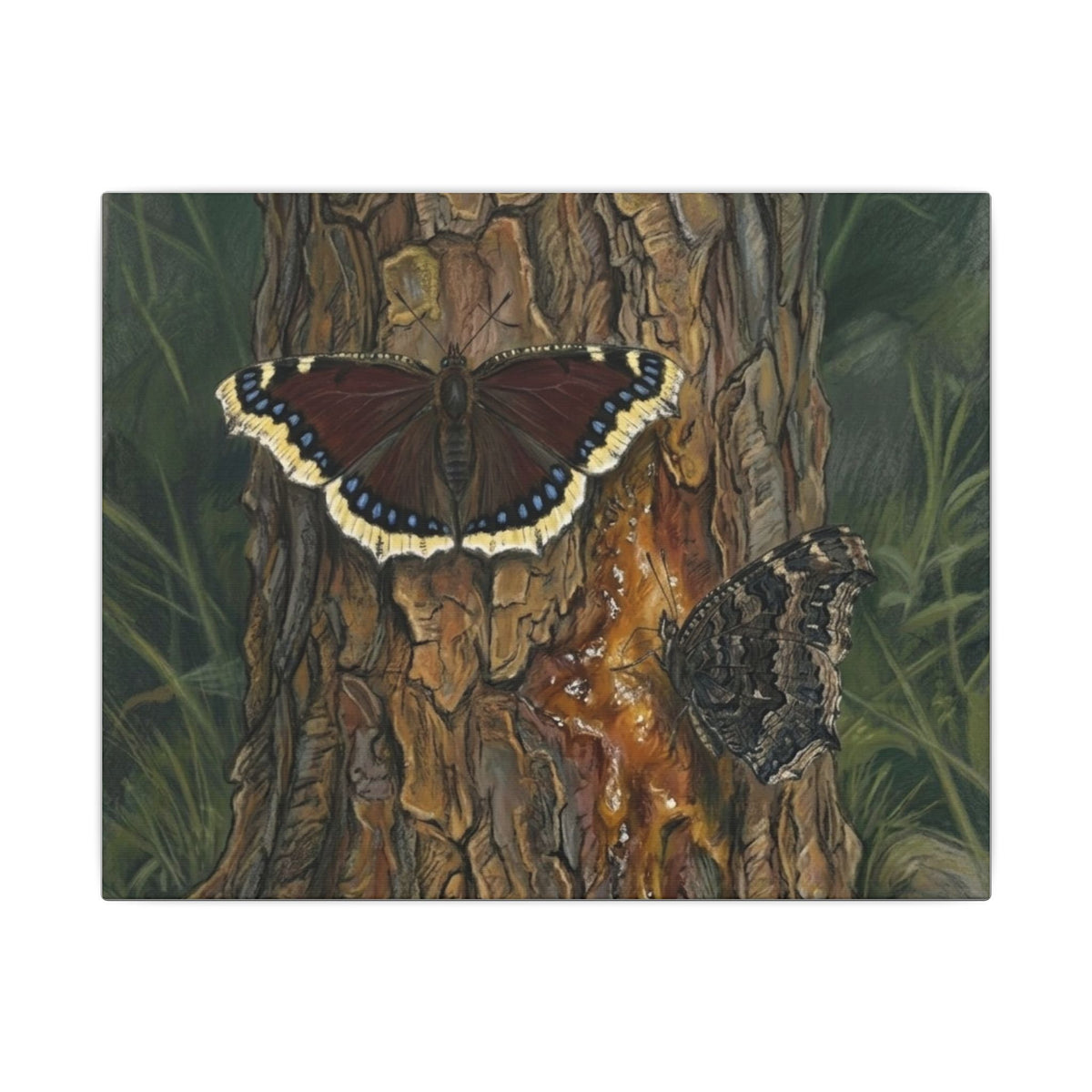 Tree Bark & Morning Cloak Butterfly Matte Canvas Wall Art – Nature-Inspired Stretched Canvas
