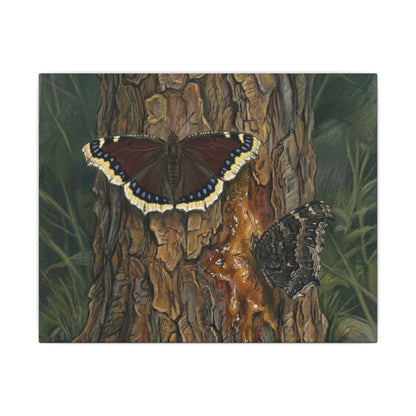 Tree Bark & Morning Cloak Butterfly Matte Canvas Wall Art – Nature-Inspired Stretched Canvas