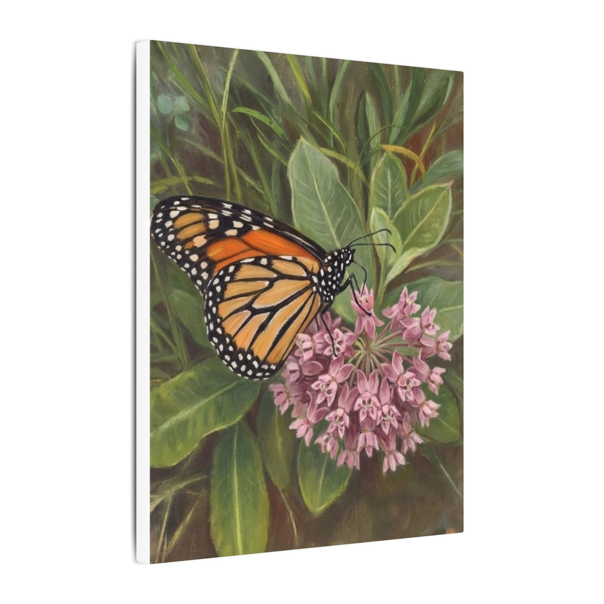 Monarch Butterfly on Pink Milkweed — Matte Stretched Canvas Wall Art
