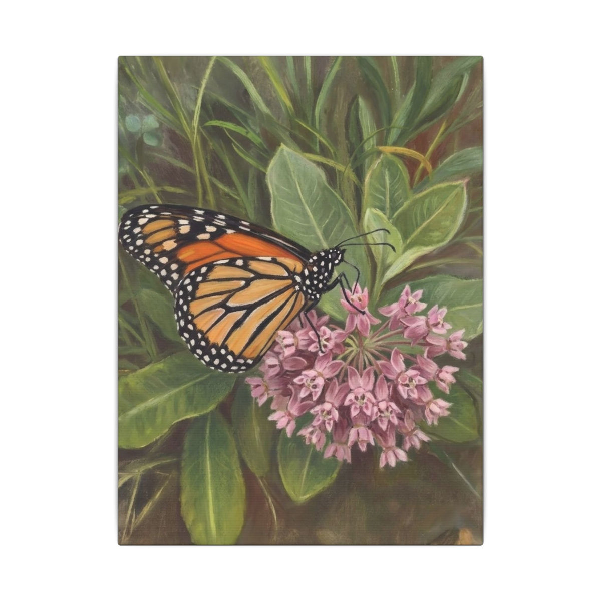 Monarch Butterfly on Pink Milkweed — Matte Stretched Canvas Wall Art