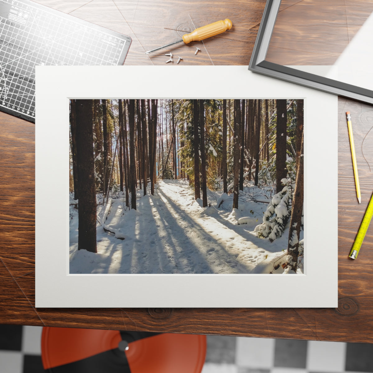 Sun Drenched Winter Forest Scene        Fine Art Print with Passepartout Frame