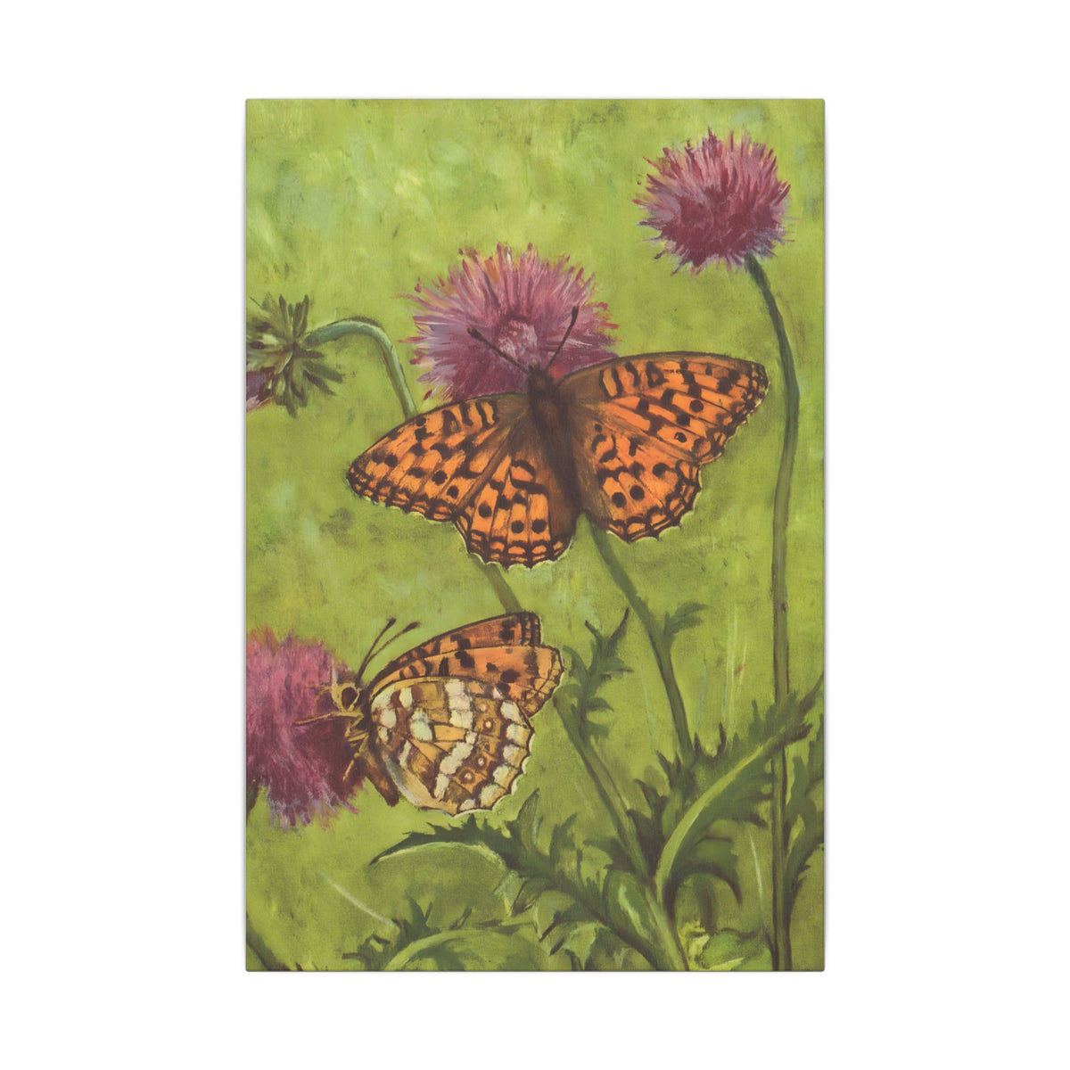 Summer Meadow Royalty: The Fritillary Butterfly