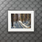 Sun Drenched Winter Forest Scene        Fine Art Print with Passepartout Frame
