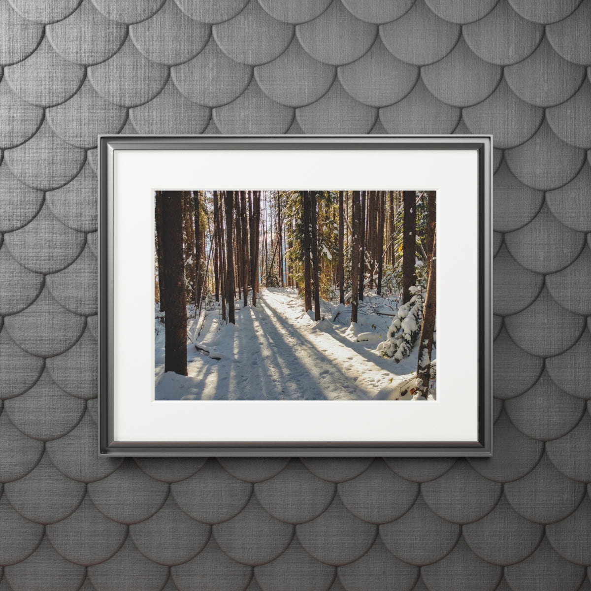 Sun Drenched Winter Forest Scene        Fine Art Print with Passepartout Frame
