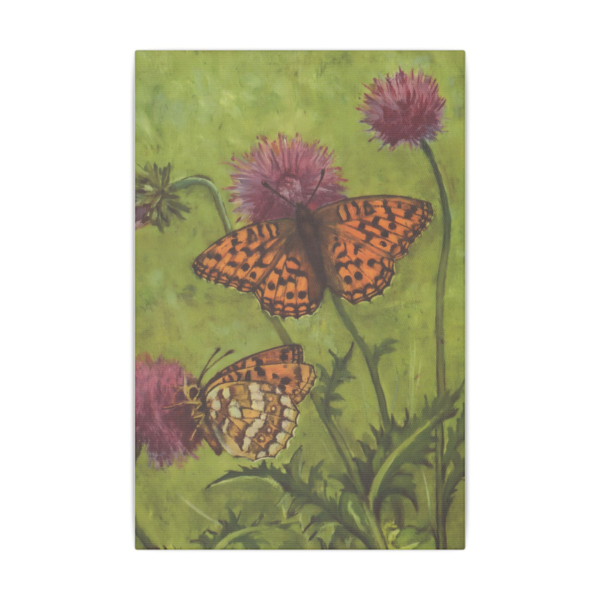 Summer Meadow Royalty: The Fritillary Butterfly