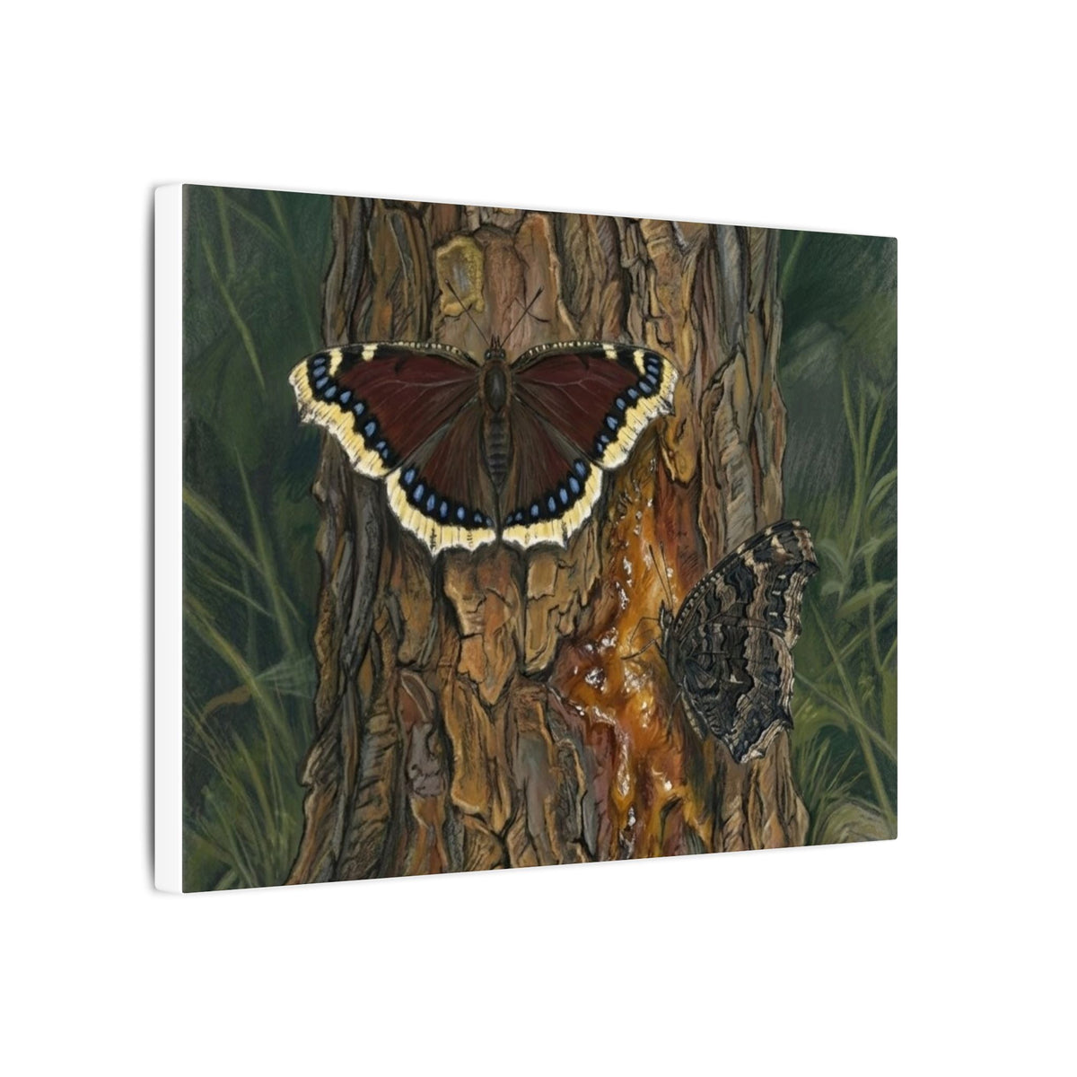Tree Bark & Morning Cloak Butterfly Matte Canvas Wall Art – Nature-Inspired Stretched Canvas