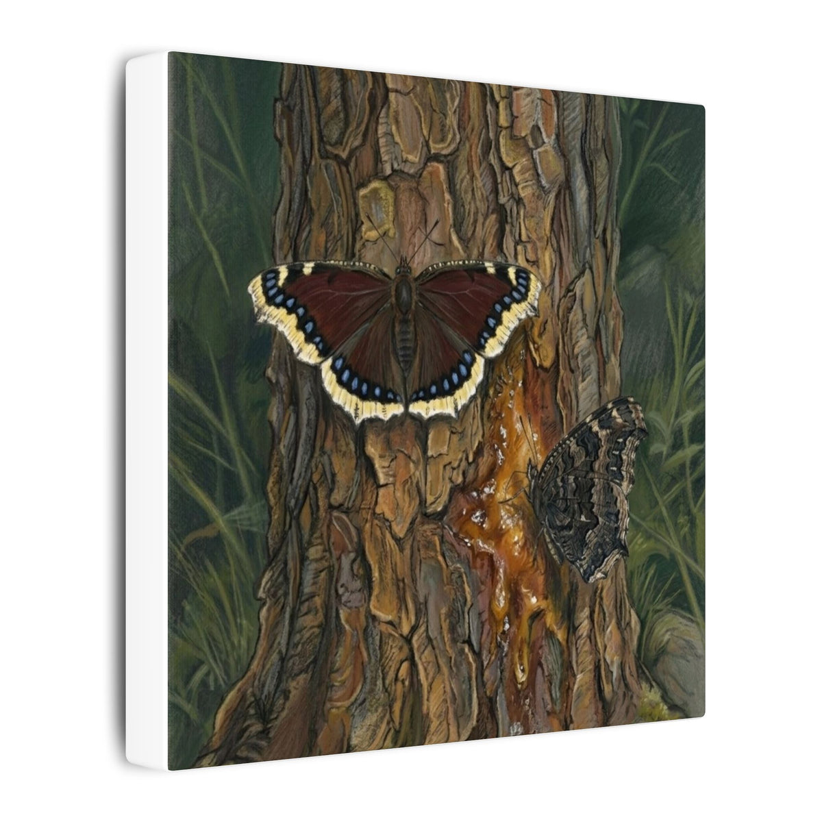 Tree Bark & Morning Cloak Butterfly Matte Canvas Wall Art – Nature-Inspired Stretched Canvas